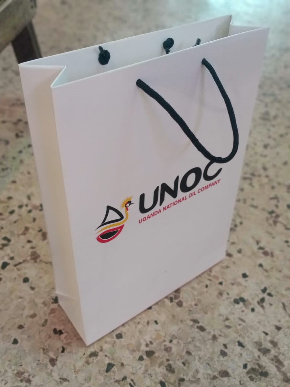 Corporate Gift Bag